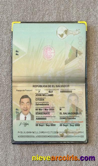Salvador passport photolook
